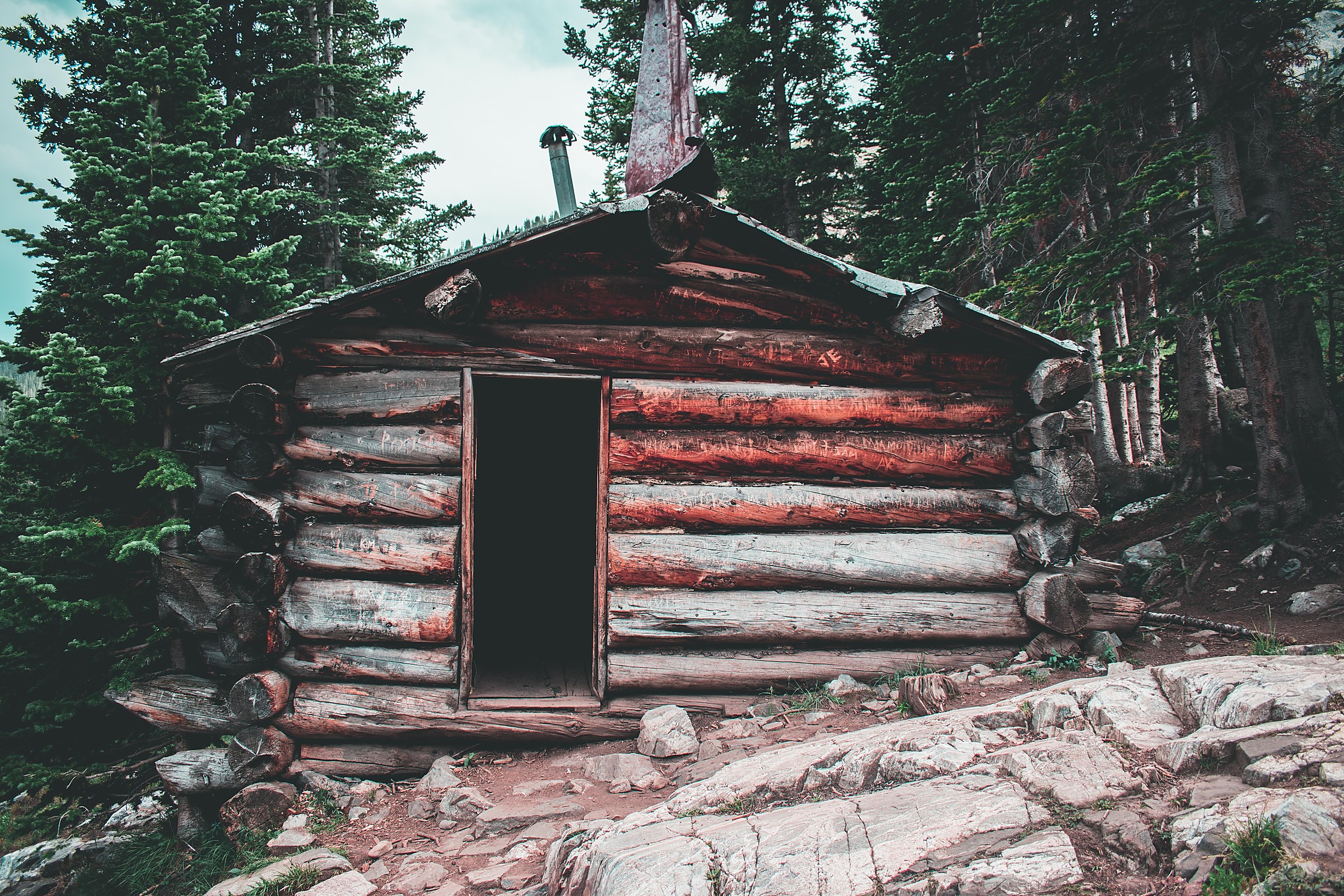 Log cabin in a forest