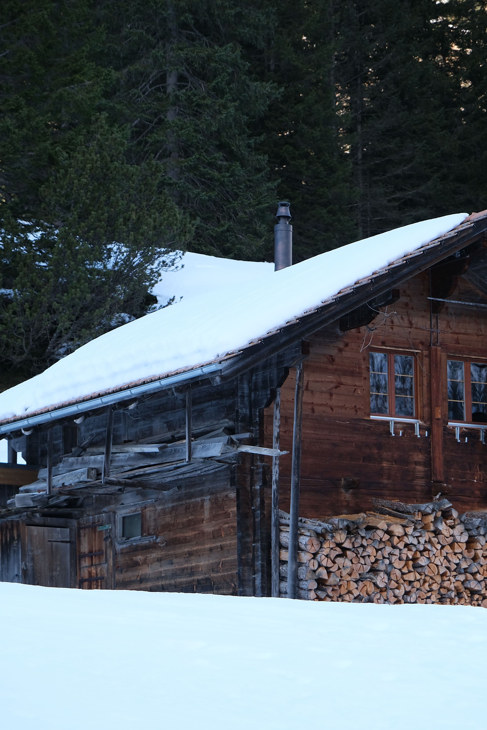 Wood cabin in a snowy forest setting