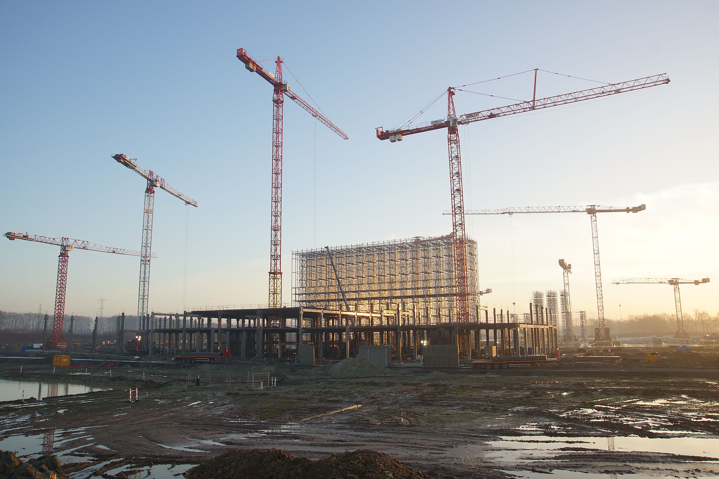Large commercial site with multiple tower cranes