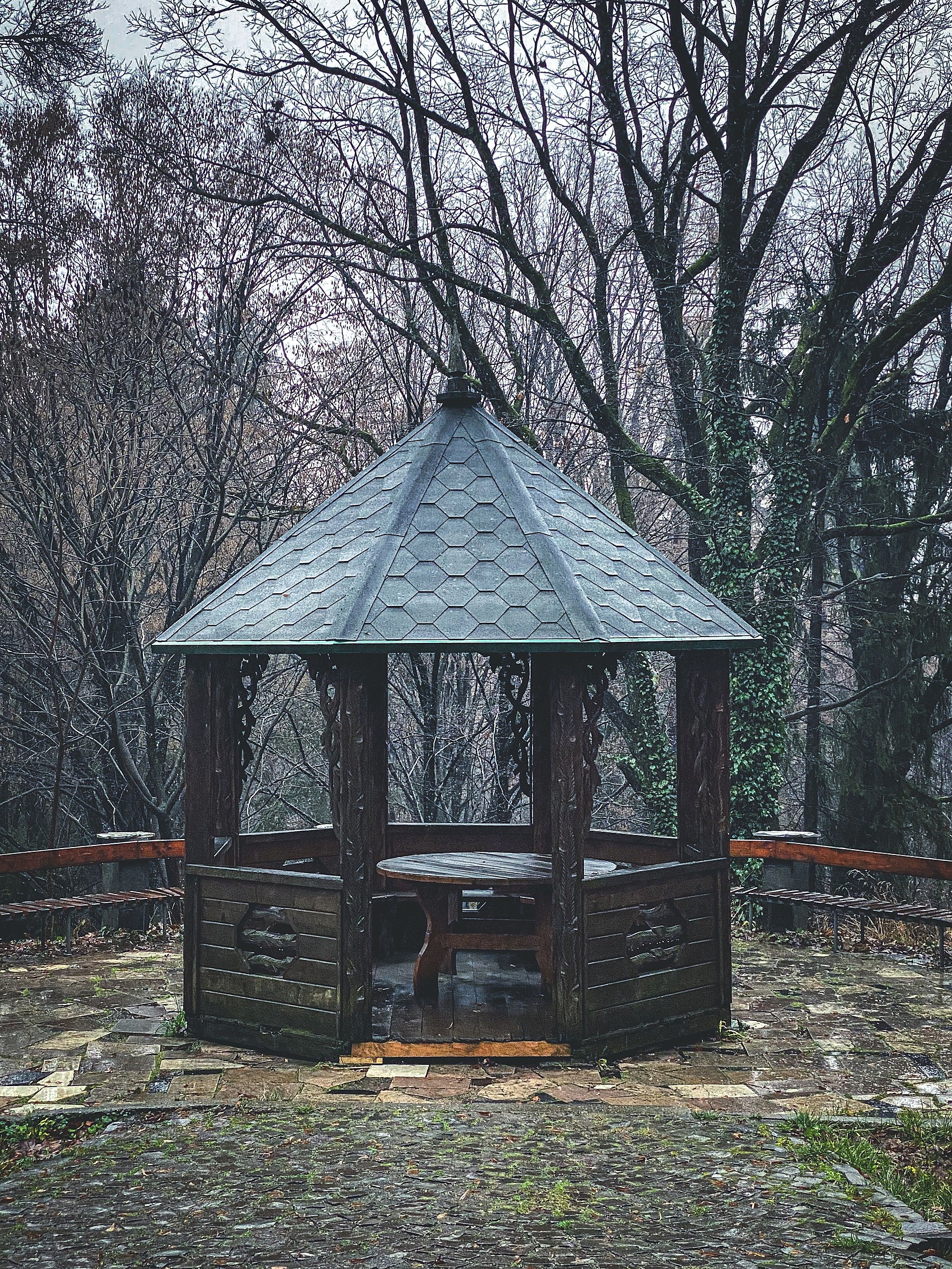 Timber gazebo in a forest setting